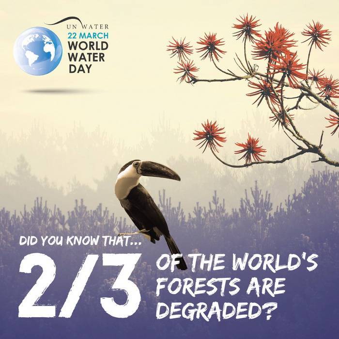 Ngày Nước thế giới 2018 (22/3): Khai thác tiềm năng của tự nhiên để quản lý và bảo vệ tài nguyên nước hiệu quả