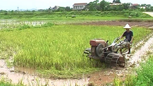 Góp ý Dự thảo Quyết định của UBND Tỉnh về chuyển mục đích sử dụng đất trồng lúa, đất rừng đặc dụng để thực hiện các dự án đợt 1 năm 2016 trên địa bàn tỉnh Tây Ninh