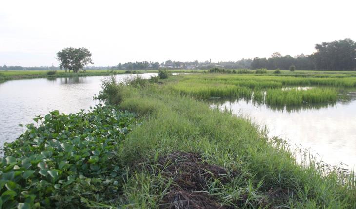 Tây Ninh: Cắm mốc giới bảo vệ nguồn nước
